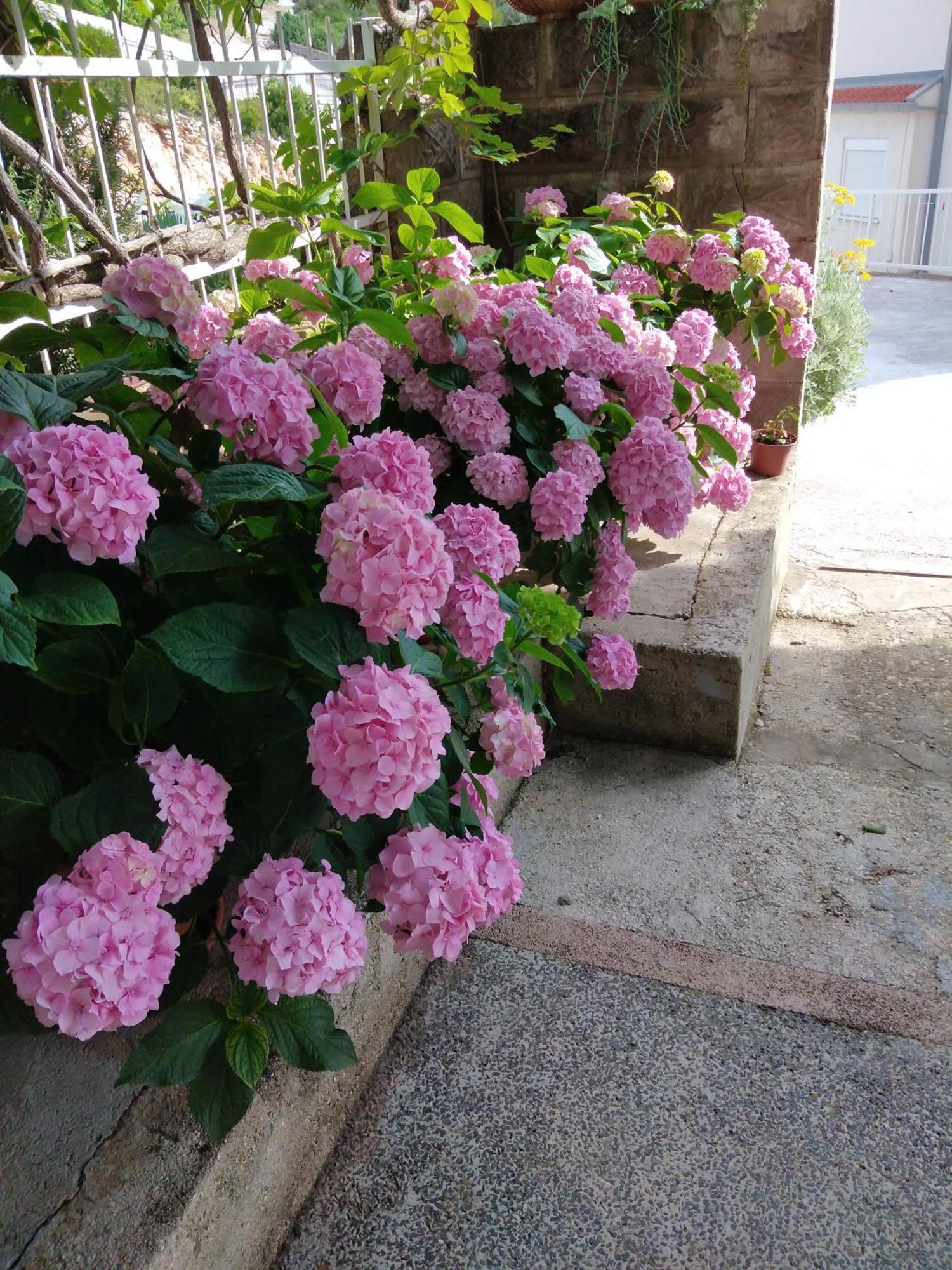 Apartment Nedjeljka เคล็ค ภายนอก รูปภาพ
